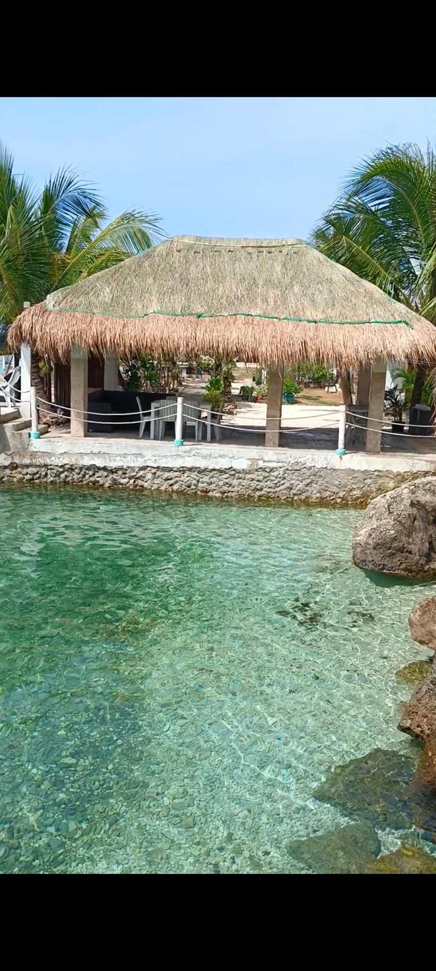Seascape Beach Resort Oslob Exterior photo