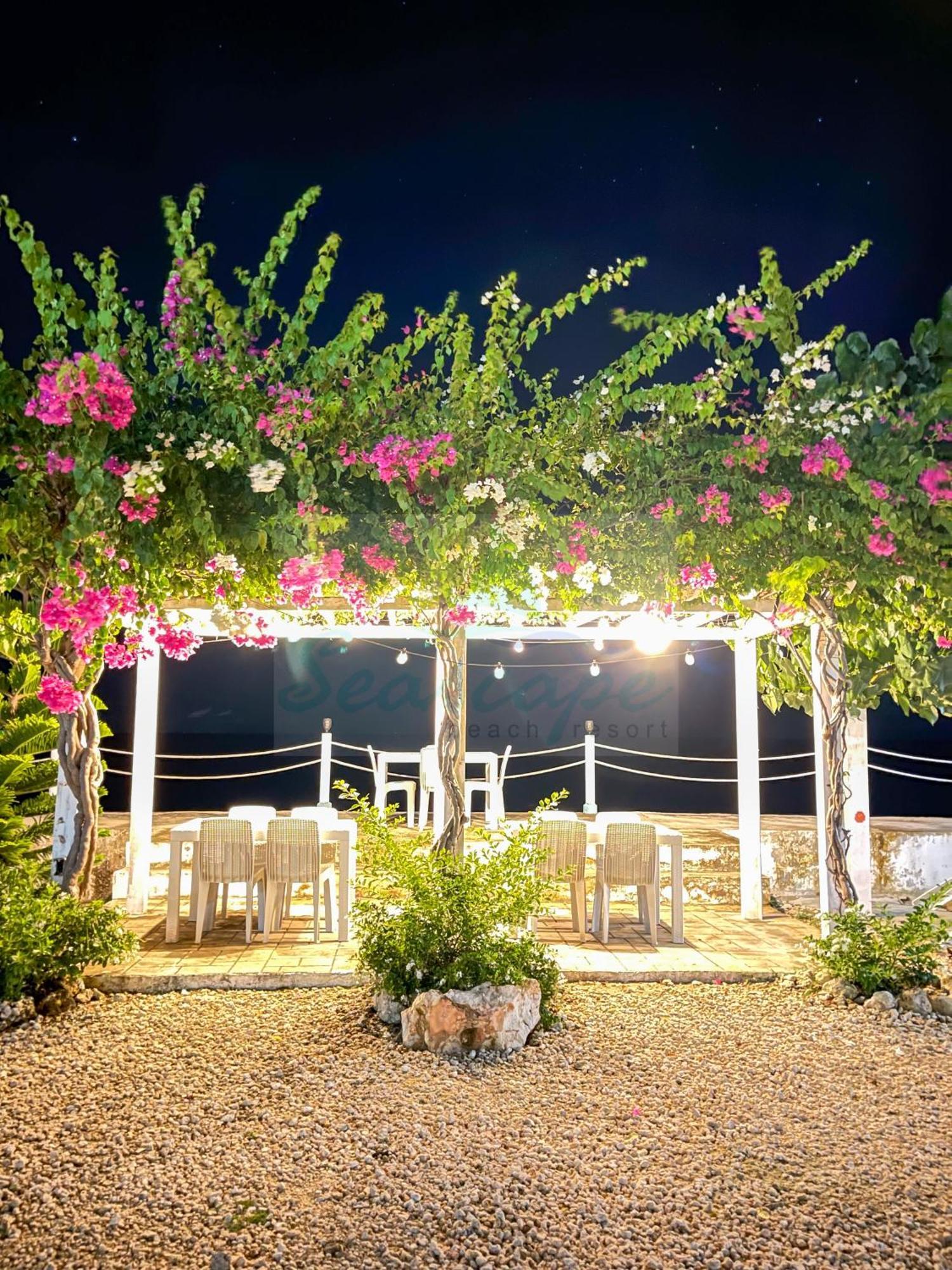 Seascape Beach Resort Oslob Exterior photo